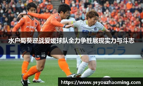 k1体育-十年品牌